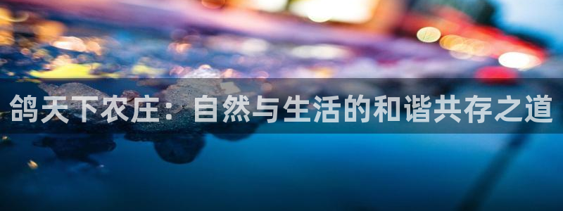 pg电子麻将胡了2