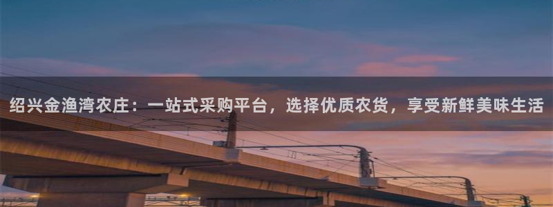 国外pg电子