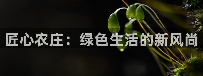 电子PG游戏解说