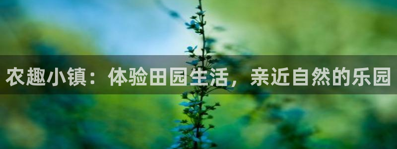 PG电子爱尔兰精灵免费