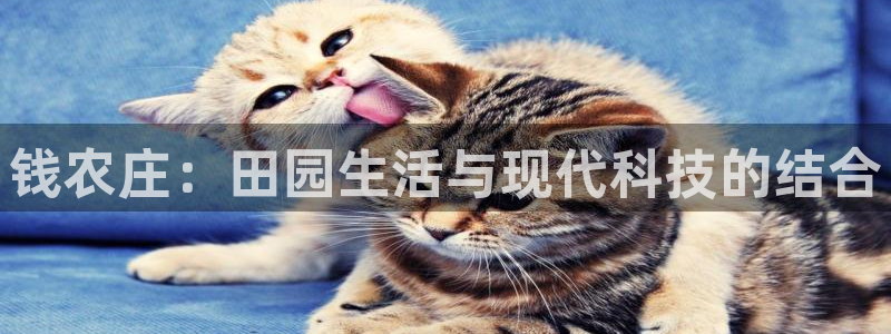 pg电子模拟器免费版