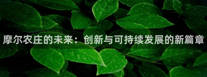 pg电子游戏搭建