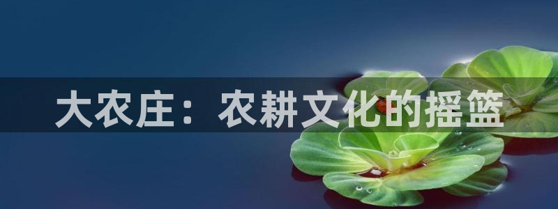 pg电子最大奖