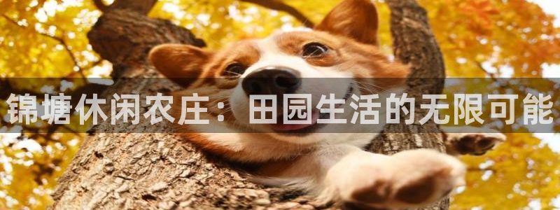 pg电子app全能版