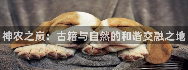pg电子宝石征途