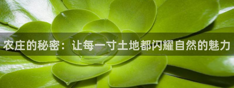PG电子官方首页