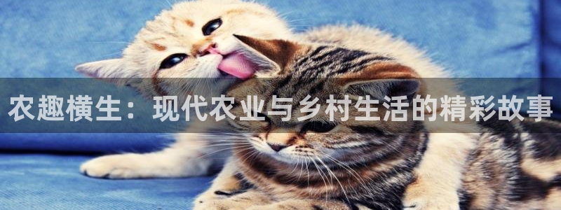 pg电子官方下载