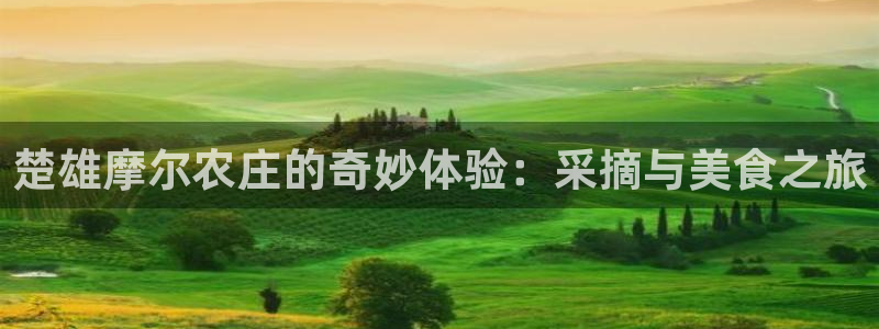 pg电子玩什么