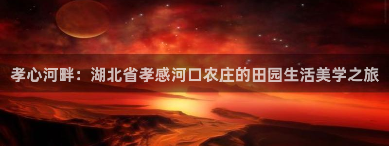 pg电子官方首页311