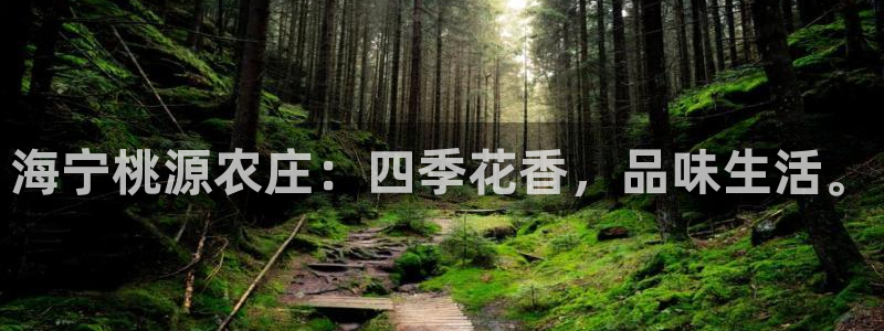 pg电子直播群