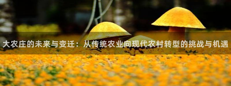 pg电子寻龙探怎么吃分