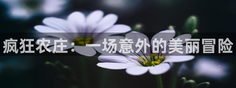 pg电子试玩模式网址