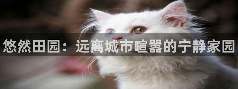 pg电子摇钱树爆分平台