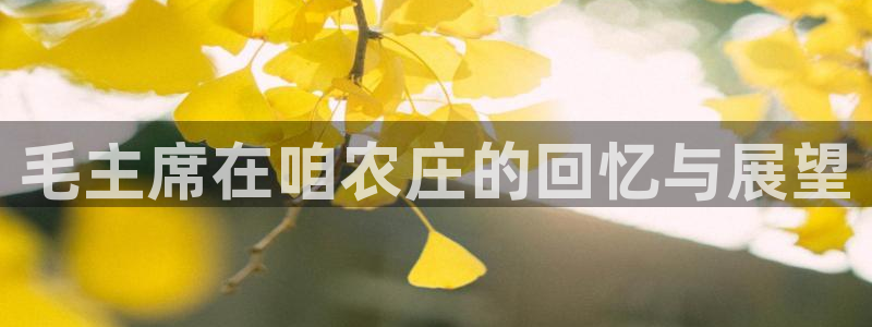 PG电子是不是假的