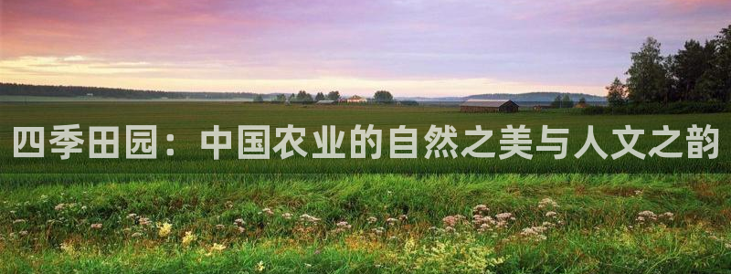pg电子金猪抱财视频
