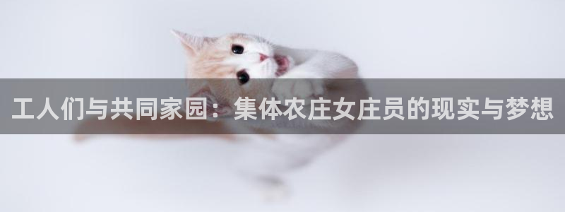 pg电子怎么天天输