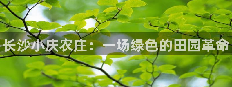pg电子溏心风暴视频