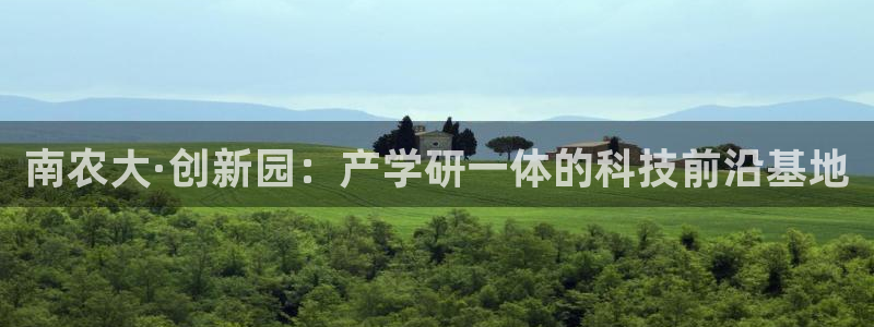 pg电子游戏寻宝黄金城