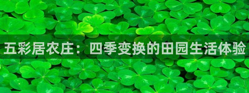 pg电子出分视频