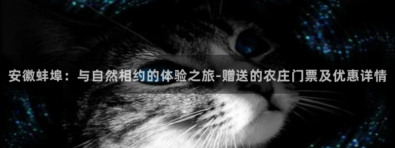 pg电子客户端