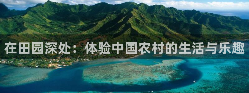 电子类pg是什么意思