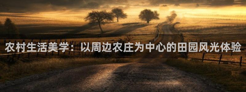 pg电子官方网站