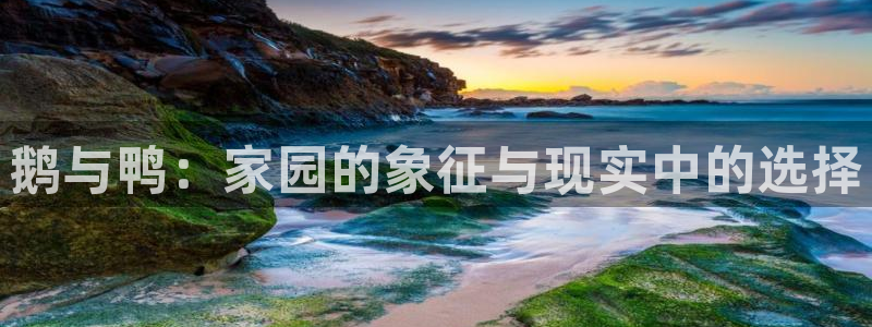 象财神PG电子