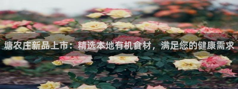 电子怎么藏分pg