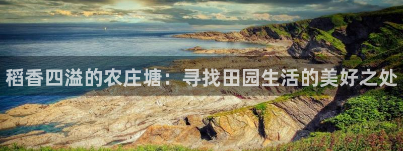 pg电子输了十万
