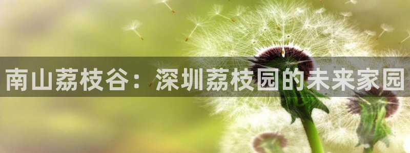 老外玩pg电子
