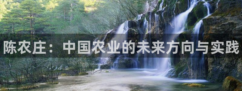 pg电子注册官网