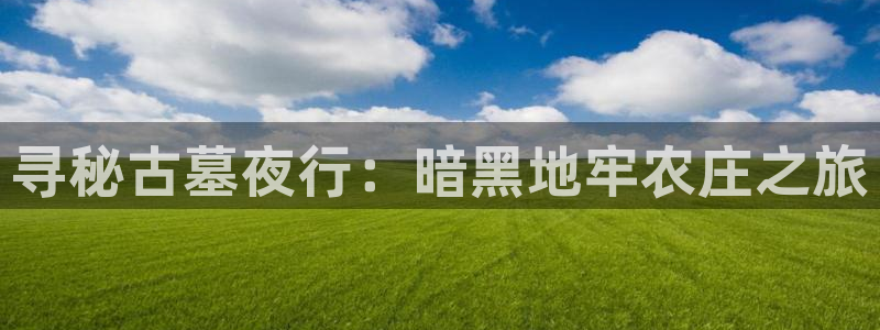 手机上的电子PG