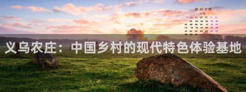 pg电子嘉年华暴分视频