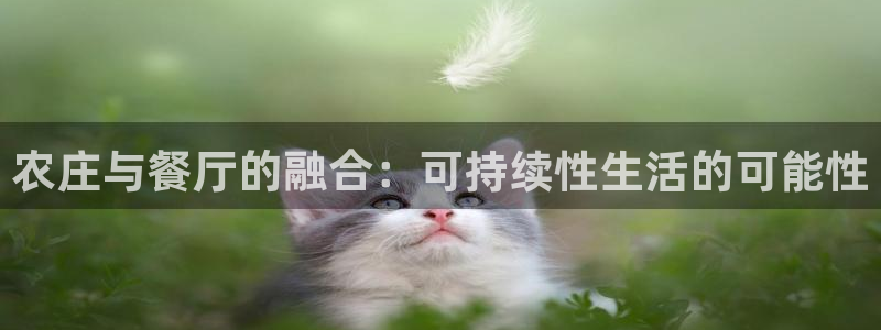 pg电子澳门
