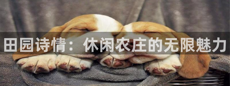 pg电子爆分秘诀