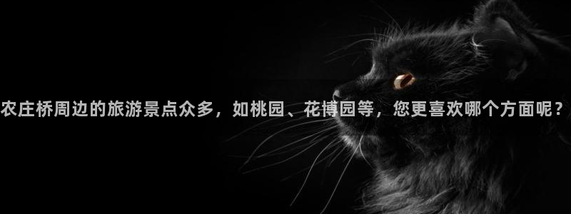 pg电子游艺哪个平台可以玩
