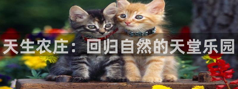 pg电子游戏机制