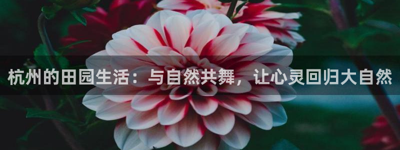 PG电子游戏入口