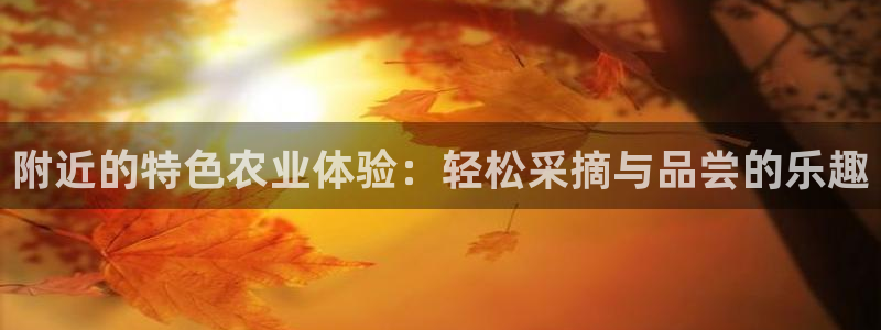 pg电子正规apo