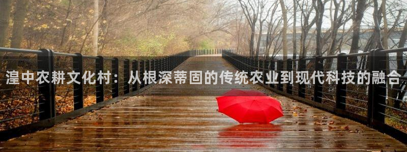 免费pg电子游戏苹果版