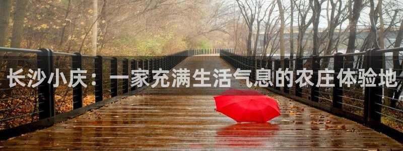 pg电子跳高高