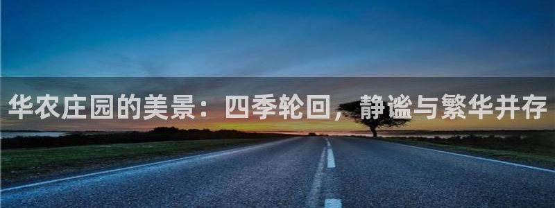 pg电子黄金寻宝城