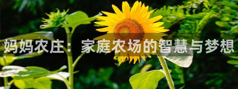 最火pg电子平台