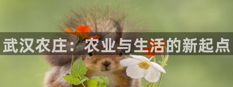 最火pg电子平台