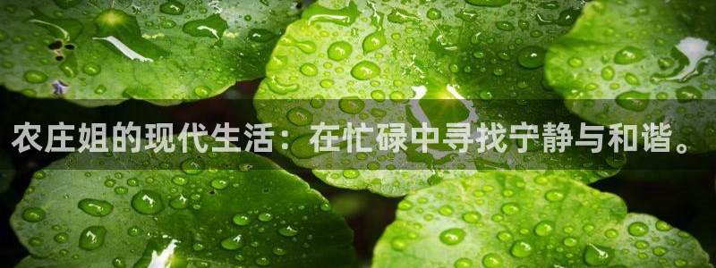 pg电子攻略