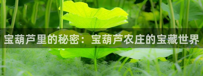 PG电子论坛