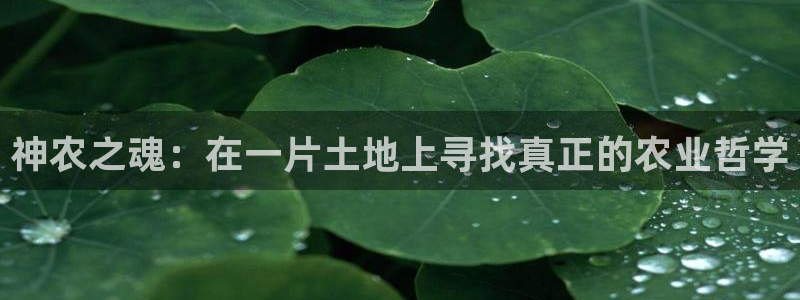 多闪娱乐电子pg