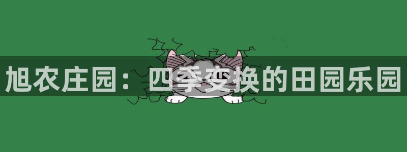 pg电子麻将胡牌规则