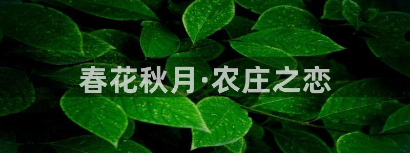pg电子为什么这么难