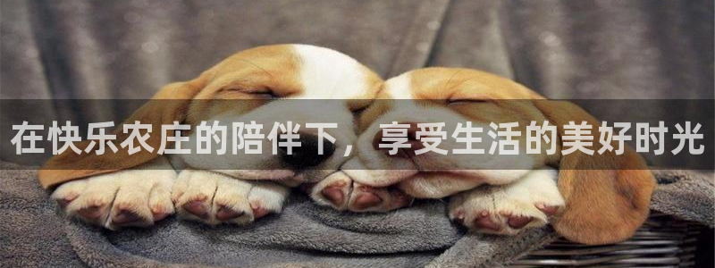 pg电子游戏官网源码